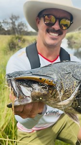 5.8K views · 73 reactions |  Another stunning Murray Cod caught on the Maverick 90 Autotune™ in Gold Black Back colour. #NomadDesign #CraftedByExperience #codfishing #murraycod #lurefishing #maverick90at | Nomad Design Australia | Facebook