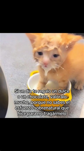 Si un día te regalo un dulce o un chocolate, valóralo