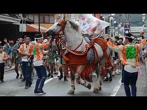 飾り馬躍動 藤崎宮例大祭にぎわう 熊本