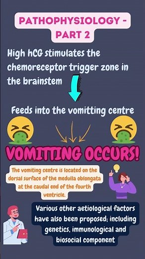 Why Does Hyperemesis Gravidarum Happen? Pathophysiology Explained 🤰
