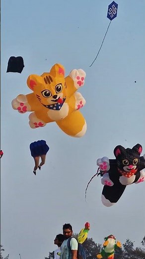 Kite Festival: The Wildest Kites You'll Ever See