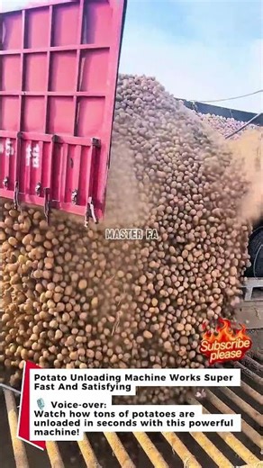 Potato Unloading Machine Works Super Fast And Satisfying #farming #machine #harvest