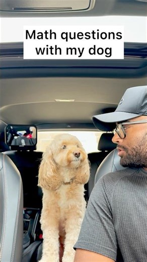 Mini Cockapoo Gets Question Wrong Then Corrects Herself 😳