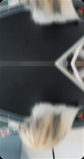 beauty of the day #work #daily #dog #shitzu #grooming #tosa #banho