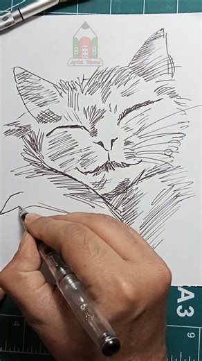 Cat Line Drawing #cat #catvideos #catshorts