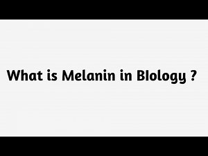 What is Melanin in Biology ?