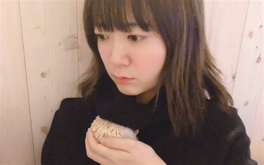 【中字】190210 ayateru直播【伊藤彩沙】【生田辉】