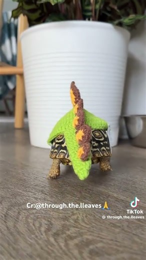 This Turtle’s Halloween Costume Wins Everything 🐢🎃🦖