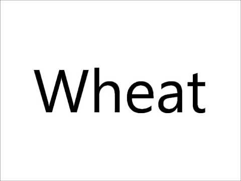 How to Pronounce Wheat