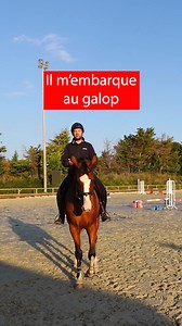 MON CHEVAL M'EMBARQUE Le programme pour avoir un cheval calme, léger et en équilibre ⤵ terredesportequestre.systeme.io/offre-flash-ebooks | Terre de Sport Equestre