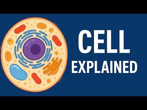 What is Cell? Full Explanation in Hindi | Cell Structure, Function & Types