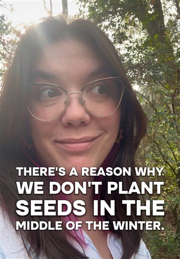 Winter Reflection and Personal Growth for the New Year