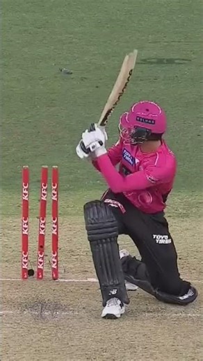 David Payne BBL|15 highlights 💥