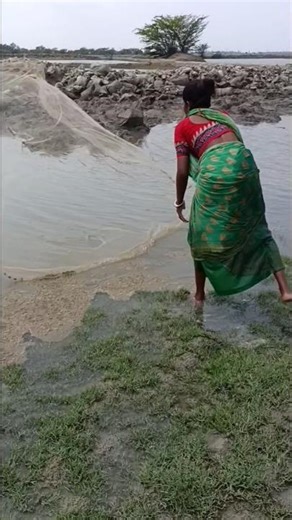 Fish Catch || Unique Fishing || Shorts Fishing