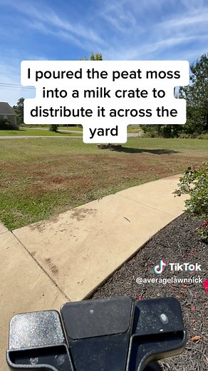 Effective Overseeding Techniques with Grass Seed and Milorganite