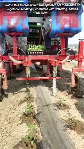 See Which Machine Can Plant Seedlings with Watering Automatically.