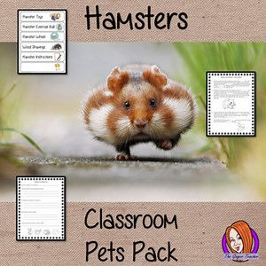 Classroom Pet Hamster Pack