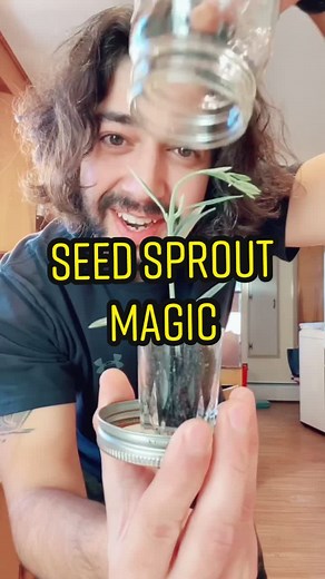 Fast Seed Sprouting Tricks for Your Garden 🌱