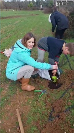 взяли в аренду огромный участок