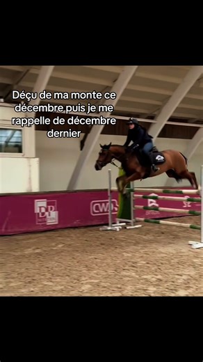 #cheval #cso #equitation