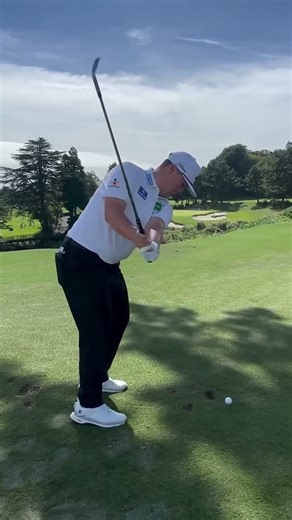 임성재 프로 스윙은 왜 안정적일까?⛳🔥
