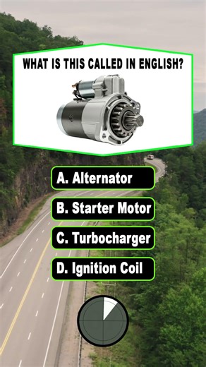 What Part is This called ? #quiz #onlinequiz