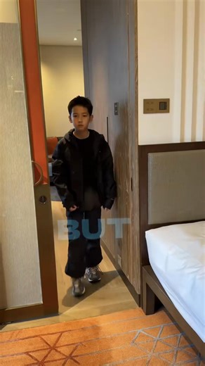 TF家族的五代故事探秘