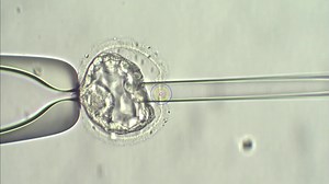 Ask and you shall receive! ⁠ ⁠ Here is the full-length video of an...