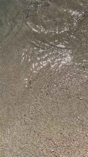 138 reactions | Où que vous alliez, nos fauteuils Lafuma Mobilier vous suivent ! Légers, pliables, toujours prêts à vous accompagner, vous choisissez l’endroit, ils s’occupent du confort  --- Wherever you go, our Lafuma Mobilier chairs go with you! Lightweight, foldable, always ready to accompany you—you pick the spot, they take care of the comfort  | LAFUMA MOBILIER | Facebook