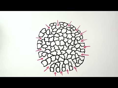 Bonsai Soil: Akadama vs Moler Clay
