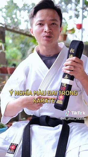 Ý nghĩa của màu đai trong võ karate - Bạn ở cấp đai nào rồi? #rikaido #Master2022byTikTok #learnontiktok #xuhuong