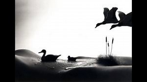 Awesome Body Landscapes A must watch viral video