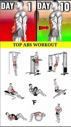 Get Six Pack Abs in 10 Days 💥 | Fast & Effective Core Workout for Visible Results #absworkout