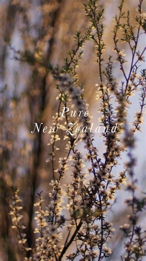 For over 50 years, Comvita has been right at the heart of New Zealand, where our Mānuka Honey journey began and continues today. From the hive to your home, every jar is UMF™ Certified and crafted with care, purity, and purpose. Authentic. Credible. Proudly New Zealand. 🍯 #ComvitaHoney #ManukaHoney #FromHiveToHome #NaturalWisdom #Comvita #NewZealand | Comvita USA