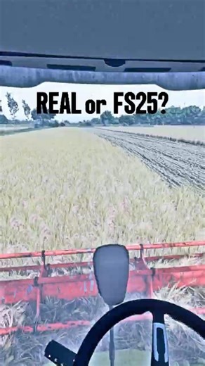 REAL or FS25? Rice Harvest | 4K #farmingsimulator25 #ls25 #simulator
