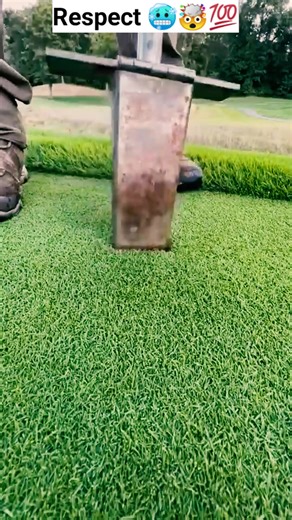 Mastering Lawn Edging Techniques for a Perfect Finish