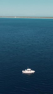 @landsharkoutdoors showing how to properly use our platinum deep drop rod. Love seeing this! #connleyfishing #deepdropfishing #deepdrop #bahamas | Connley Fishing