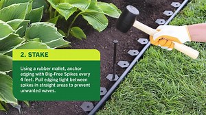Master Mark Dig-Free Classic 20 ft. x 1.25 in. Black Plastic Landscape Edging Kit 42220-1
