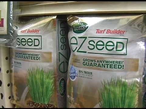 How To Grow Grass Anywhere