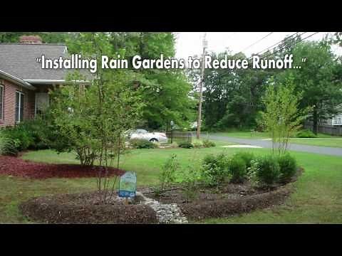 Installing Rain Gardens to Reduce Runoff