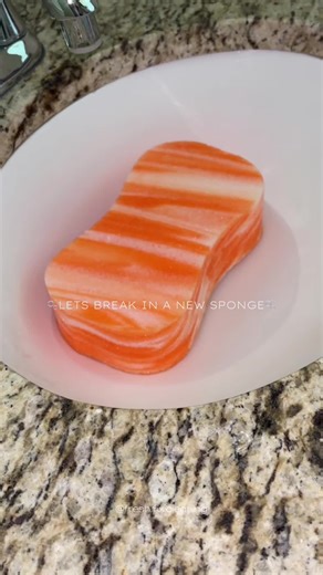 New Sponge Break-In: Sink Clean & Suds