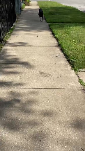 😂😂 I really tricked him into thinking that I was the prize