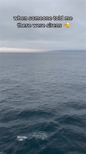 Mysterious Sirens of the Deep Ocean