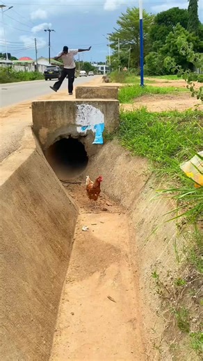Vidéos de Momo Maya (@momo.maya0) avec original sound - Gabar gobeed🇸🇴