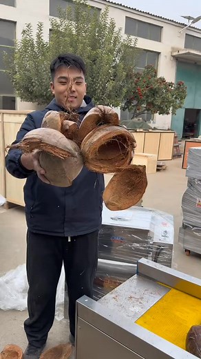 Coconut shell chopper | foodnstduso