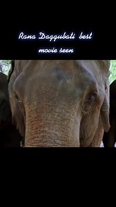 Wait for and best movie scene 🎶☝️💯🎞️🎬 | funny cartoon