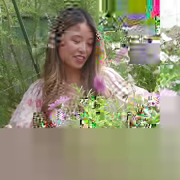 205K views · 7K reactions | Connie Cao shows how to grow a garden that is full of colourful cut flowers, which are long-stemmed and perfect for bouquets. | ABC Everyday | ABC Australia | Facebook