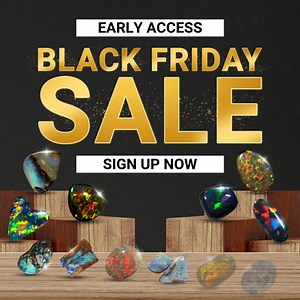 124 reactions · 4 comments |  Early Access Alert for Members Only! ...