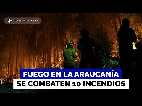 Avanza el fuego en La Araucanía: se combaten incendios que se acercan a zonas pobladas