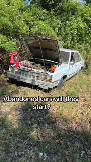 Starting abandoned cars #junkyardcarfinds #willitrun #fordfairmont #abandonedcars #urbex #fblifestyle #greenscreen #mechaniclife #reels #reels2025 #ford #chevy #dieseltrucks #dieselpower | JuryriggedAuto